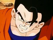 Gohan swears to defeat Super Buu