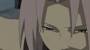 Sakura is captured