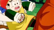 Gohan is grabbed by Bulma for his own protection