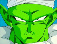 Piccolo serious look