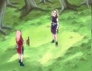 Ino tells Sakura that her forehead protector needs to be wore her forehead, and not on top of her head.