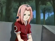 Sakura finally understands how Naruto feels, and decides to be more nicer to him for now on in order to understand him.
