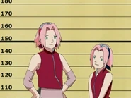 Part II Sakura reveals everything about Tsunade's bad habits