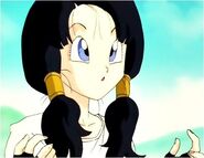 Videl is taking to learn the Ki energy to flying from Gohan