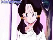 Videl asked the witness about Gohan as the gold fighter