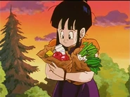 Chi-Chi carrying food