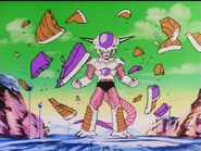 Dbz78-02