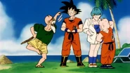 Bulma ignores Goku when he asks them why