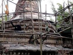 Maharajah Jungle Trek