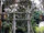 Swiss Family Treehouse (Walt Disney World)