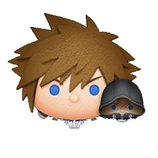 Sora & Roxas