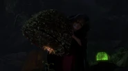 Gothel removing a fake bush over the sun flower.