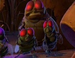 Flies.jpg