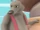 Oswald (Sheriff Callie's Wild West)