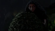 Gothel putting the fake bush over the flower.