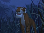 Shere Khan in The Jungle Book: First Grade