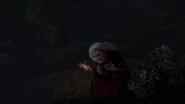 Gothel singing the healing incantation to the flower.