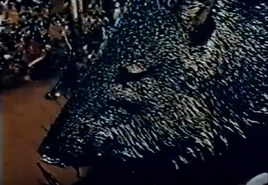 Peccary