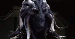 Hive.jpg
