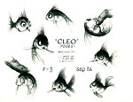 Cleo Concept 1