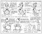 Donald Concept.jpg