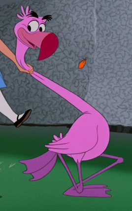 Flamingos