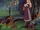 Forest Animals (La bella durmiente)