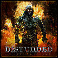 Indestructible Cover.jpg