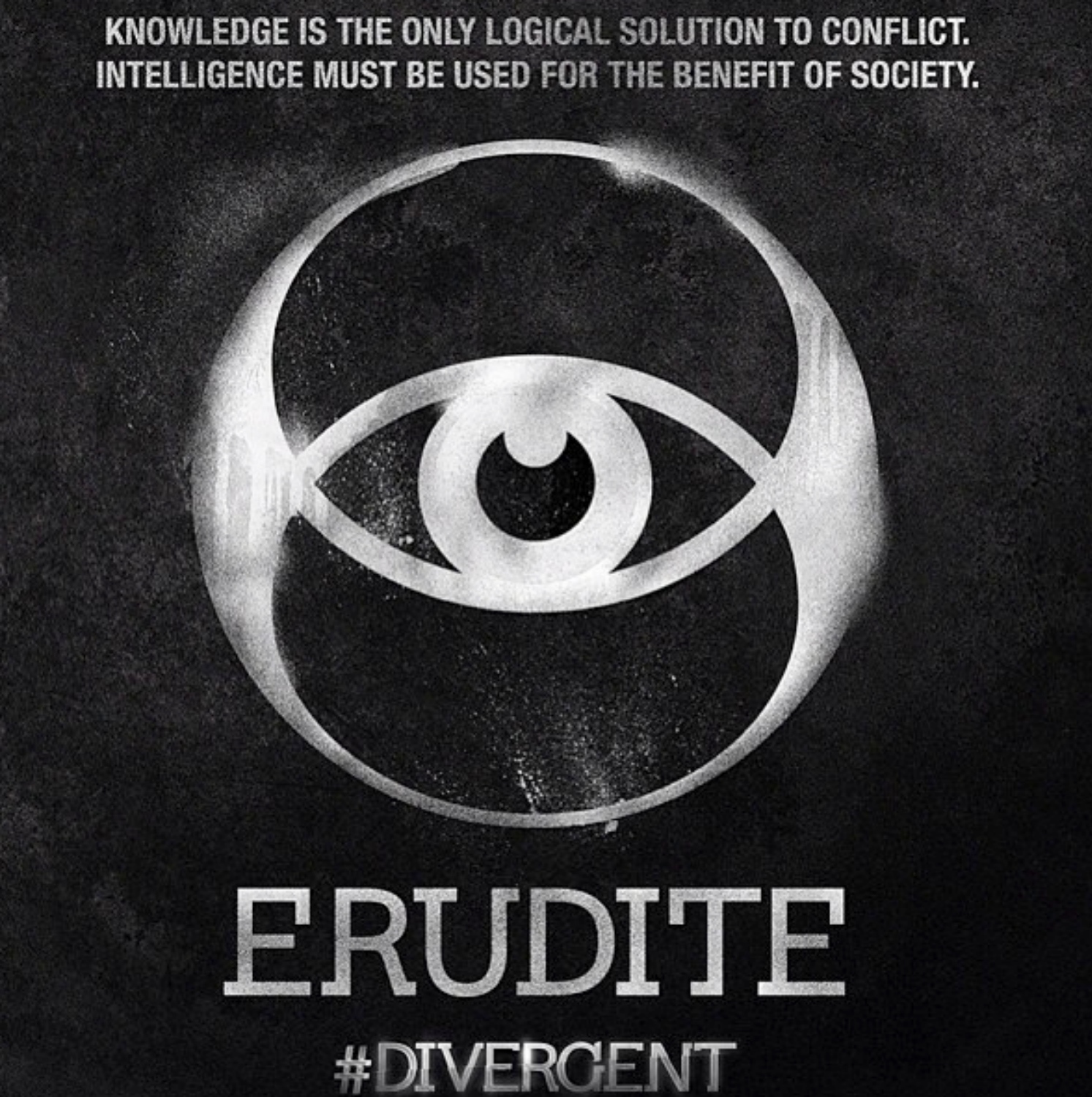 erudite divergent outfit