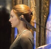 Tris prior