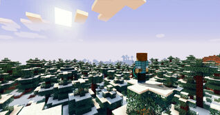 Snow biome