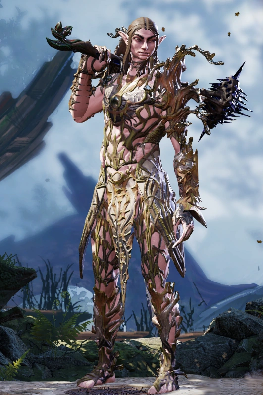 Divinity original sin 2 wayfarer. Divinity original sin 2 концепт арты. Божественный орден divinity original sin 2. Билд инквизитор divinity original. Магистр дивинити арт.