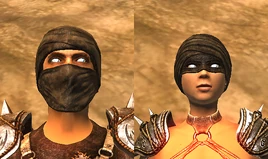 D2 Предметы Шлем Детей природы II