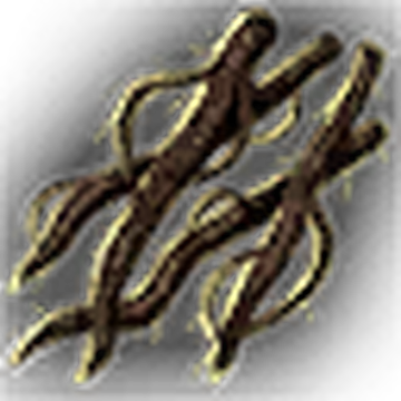 Blackroot | Divinity Wiki | Fandom
