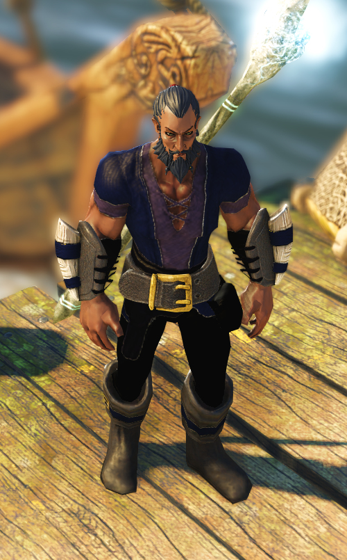 divinity original sin 2 healer companion divinity original sin 2 healer companion