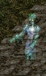 A Ghost in Divine Divinity