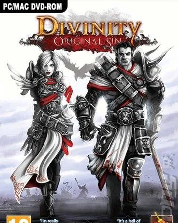 Divinity original sin ii pc