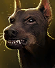 Icon used for the Source Hounds in combat and dialogue