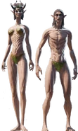Female and Male elven body model from Divinity: Original Sin II game