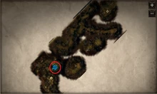 Tom's body location inside the cave