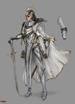 Concept art of Paladin Female Grunt from Divinity: Original Sin II