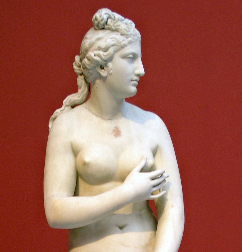 Афродита портрет. Античные статуи женщин. Афродита фото. Афродита богиня фото. Ноготь афродиты 5 букв
