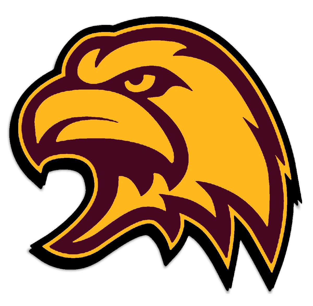 2024 UTSC Eagles football team | (DJs) Fictional Countries Wiki | Fandom