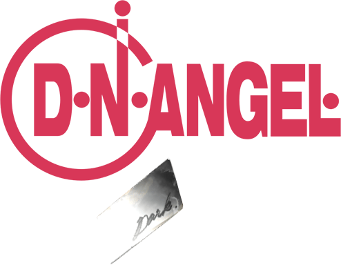 D N Angel Wiki