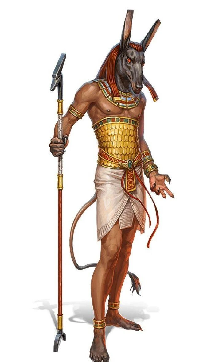 赛特Set | 龙与地下城Wiki | Fandom