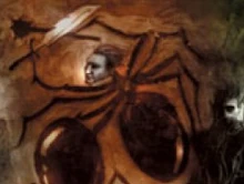 图出自《Faiths & Pantheons》