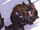 Bugbear