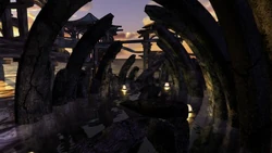 Passage towards the frequency gates.