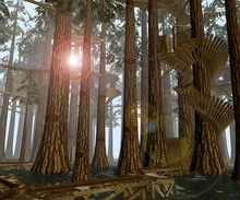 Channelwood sun.jpg (63 KB) Channelwood's sun among the trees.