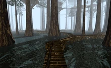 Channelwood Surface.png (408 KB) Surface Level